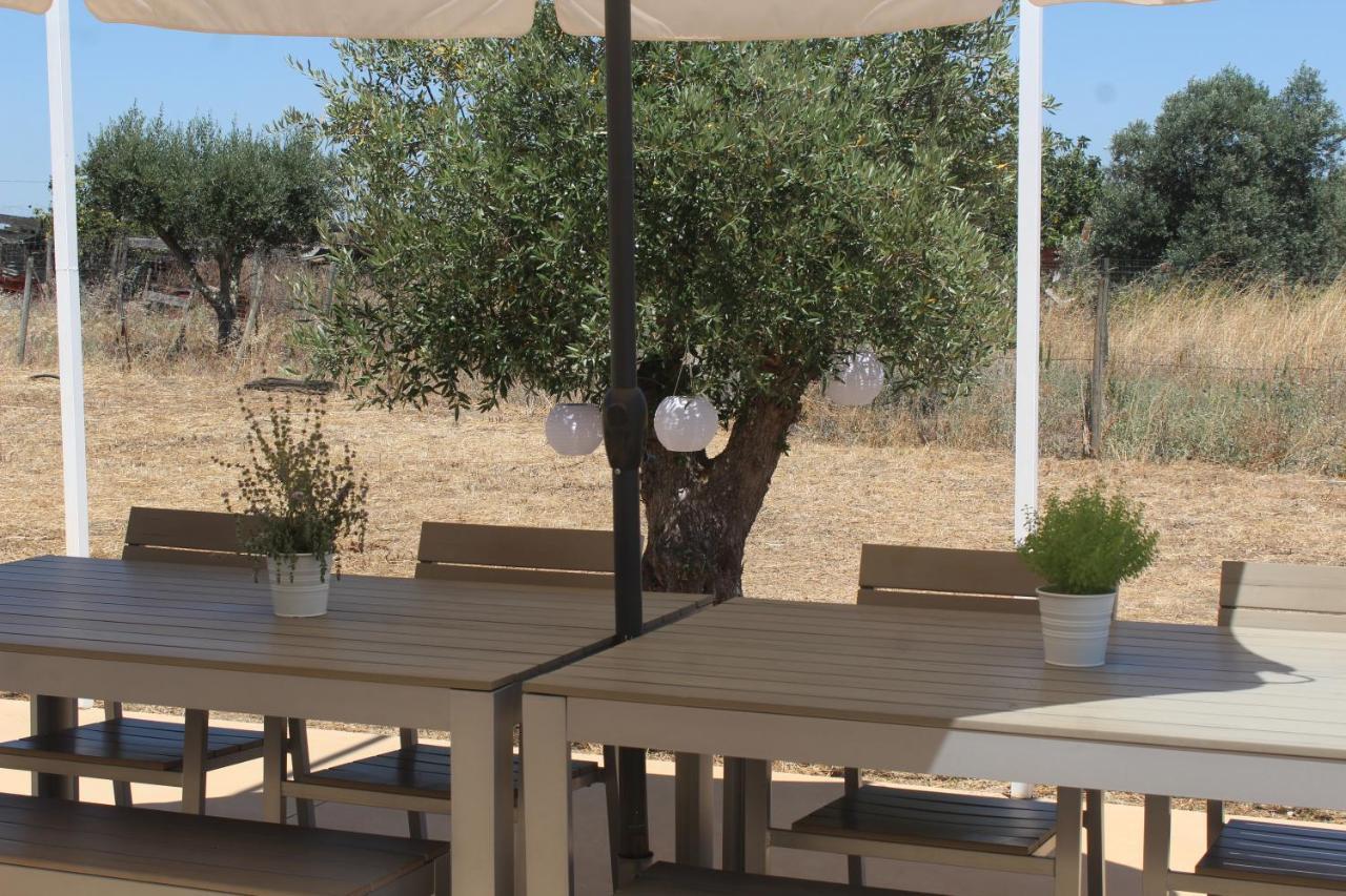 Casa Do Roxo - Eco Design Country House Santa Vitoria Bagian luar foto